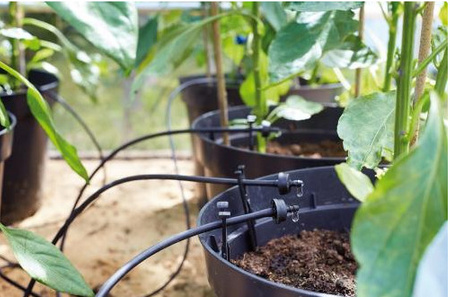 Automatyczny solarny system do nawadniania Sol C-12